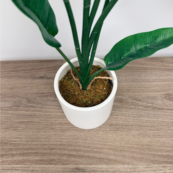 Artificial Green Plant in White Pot (listing for 1; 2 available) - Picture 2 of 5